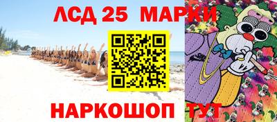 крисы Новодвинск